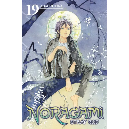 Noragami: Stray God 19
