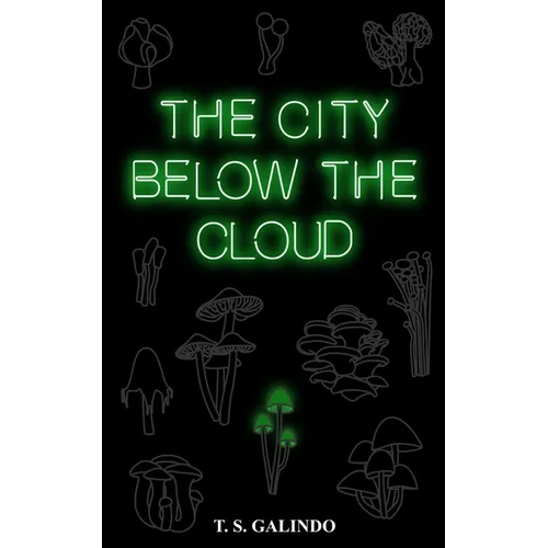 The City Below the Cloud