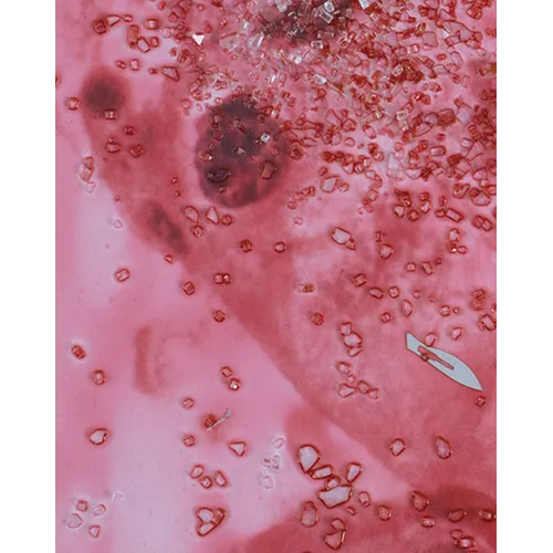 Damien Hirst: Beyond Belief