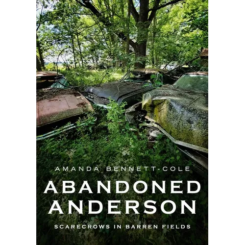 Abandoned Anderson, Indiana: Scarecrows in Barren Fields