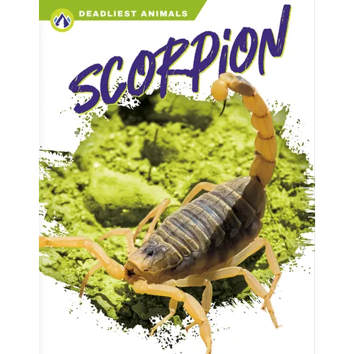 Scorpion