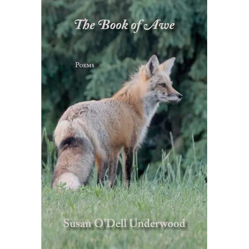The Book of Awe