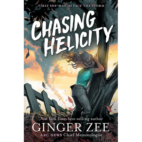 Chasing Helicity: Chasing Helicity-Chasing Helicity, Book 1