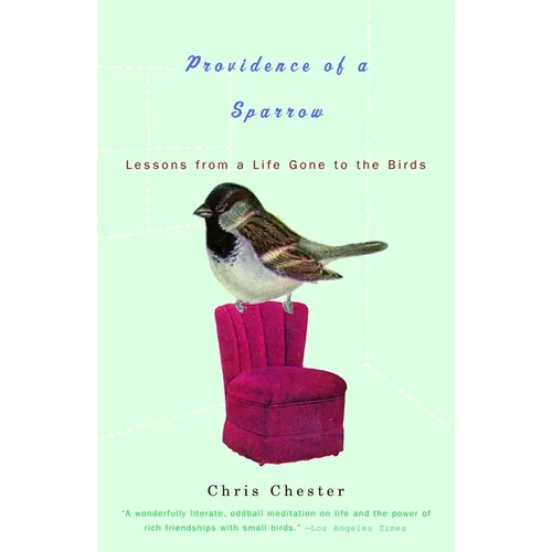 Providence of a Sparrow: Lessons from a Life Gone to the Birds