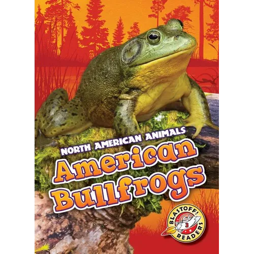 American Bullfrogs