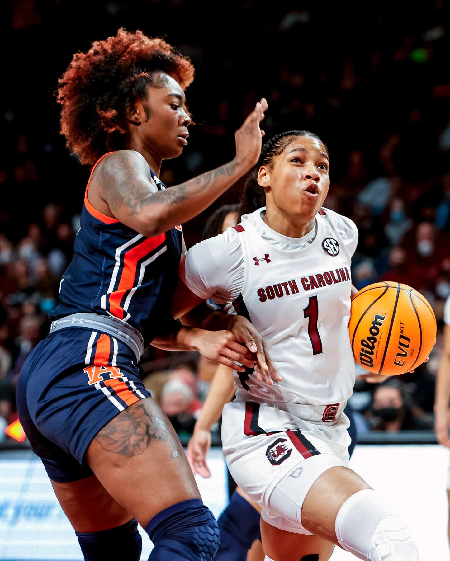 Dawn of a Dynasty: The South Carolina Gamecocks Return to College Basketball Glory with Their Second NCAA Title Book