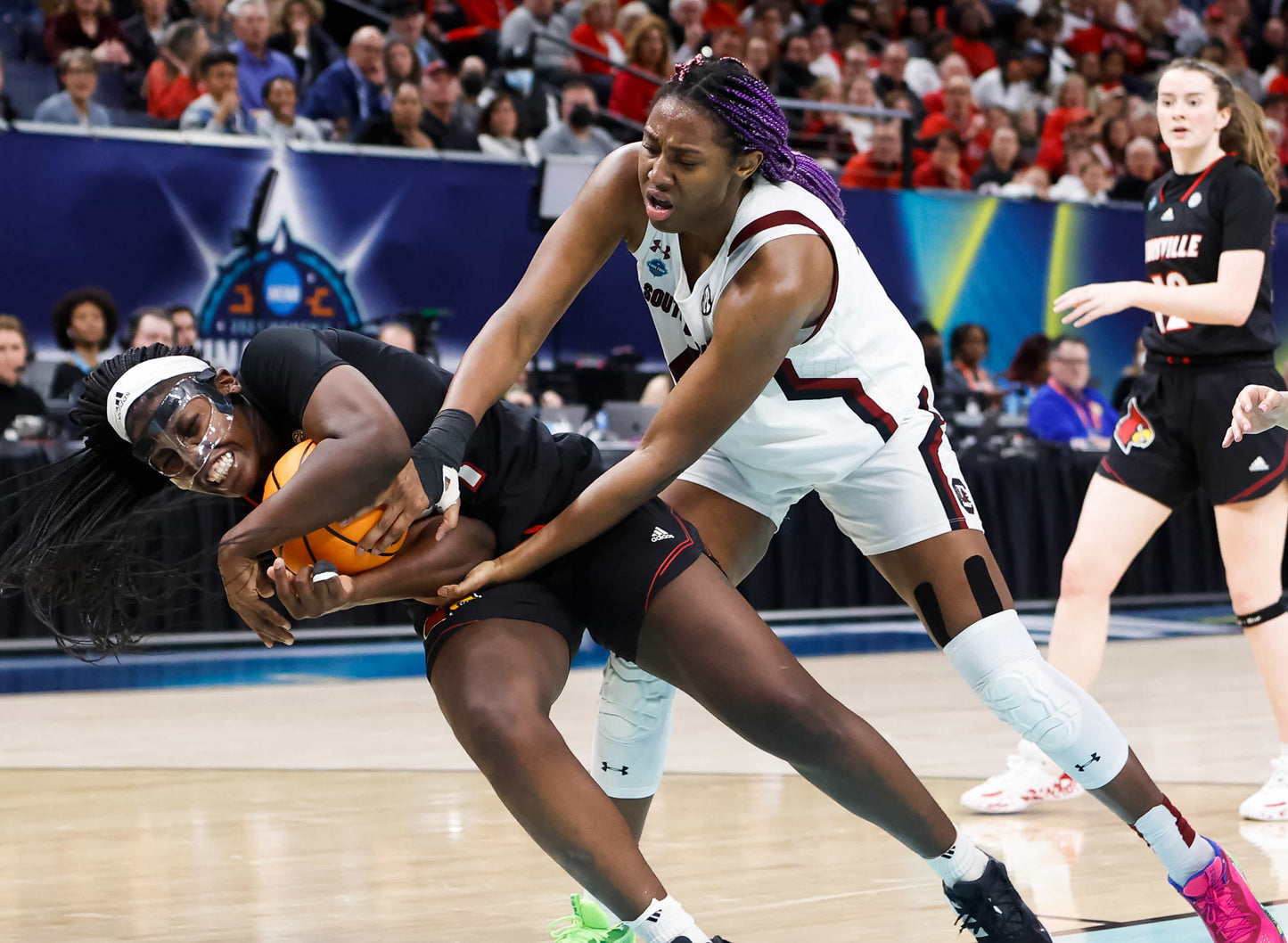 Dawn of a Dynasty: The South Carolina Gamecocks Return to College Basketball Glory with Their Second NCAA Title Book