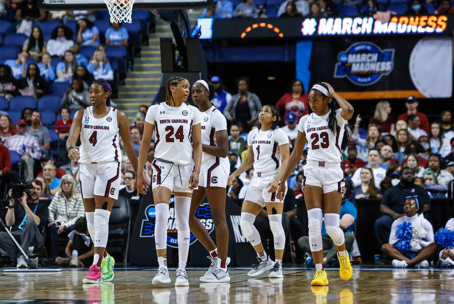 Dawn of a Dynasty: The South Carolina Gamecocks Return to College Basketball Glory with Their Second NCAA Title Book
