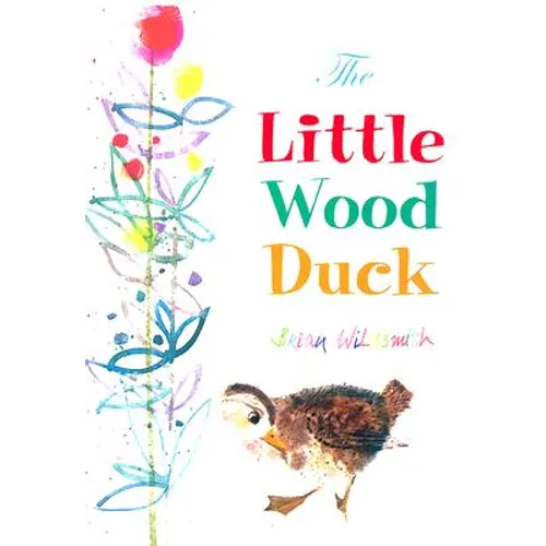 The Little Wood Duck