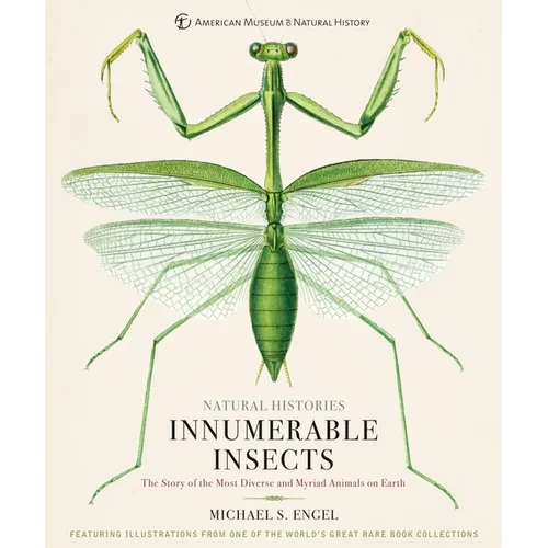 Innumerable Insects: The Story of the Most Diverse and Myriad Animals on Earth