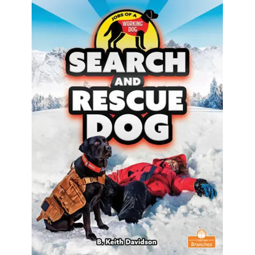 Search and Rescue Dog