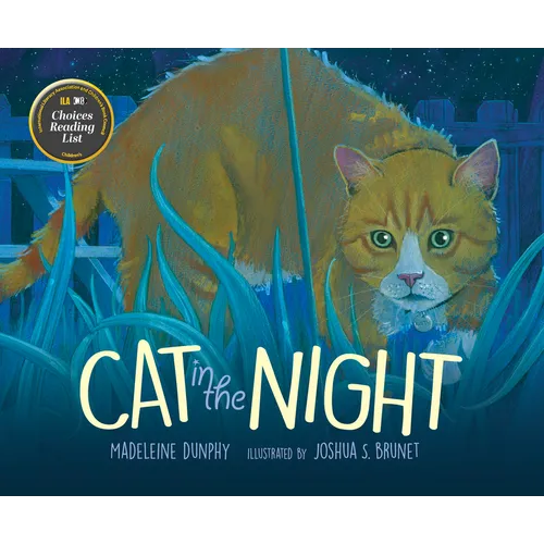 Cat in the Night