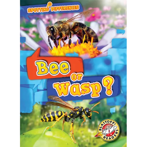 Bee or Wasp?