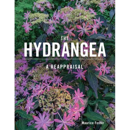 The Hydrangea: A Reappraisal