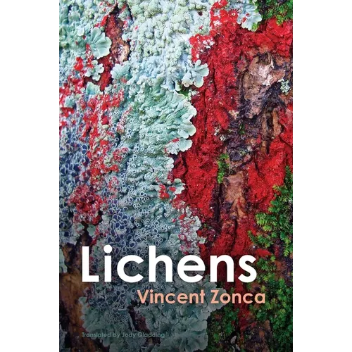 Lichens: Toward a Minimal Resistance