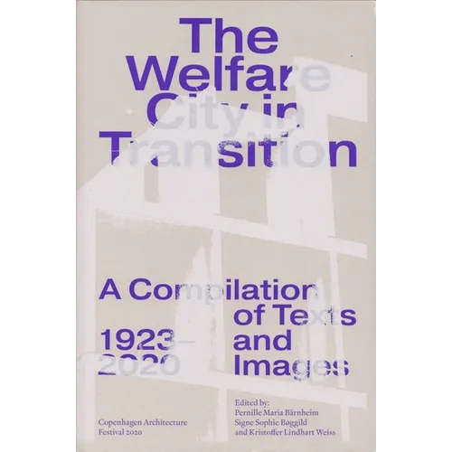 The Welfare City in Transition