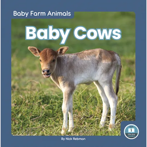 Baby Cows