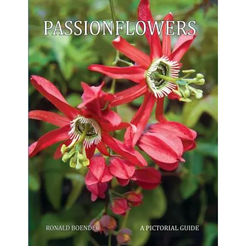 Passionflowers: A Pictorial Guide
