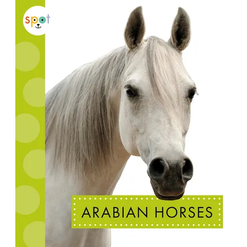 Arabian Horses