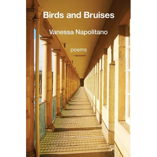 Birds and Bruises