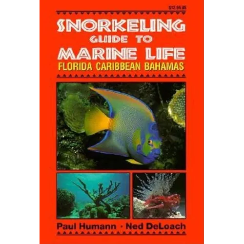Snorkeling Guide to Marine Life Florida, Caribbean, Bahamas