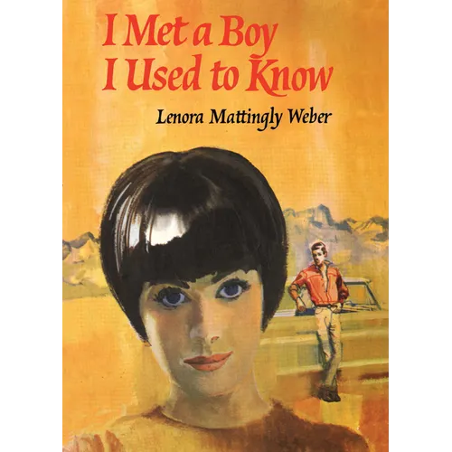 I Met a Boy I Used to Know