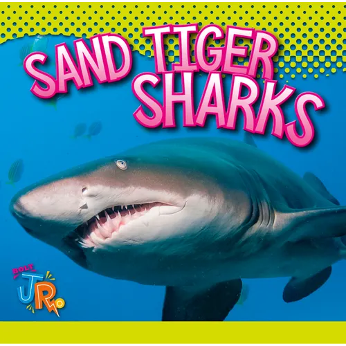 Sand Tiger Sharks