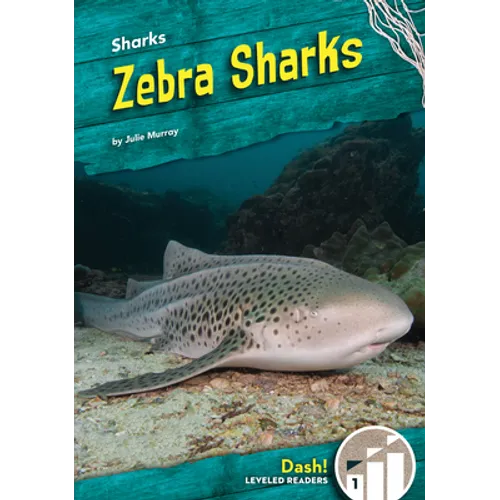 Zebra Sharks
