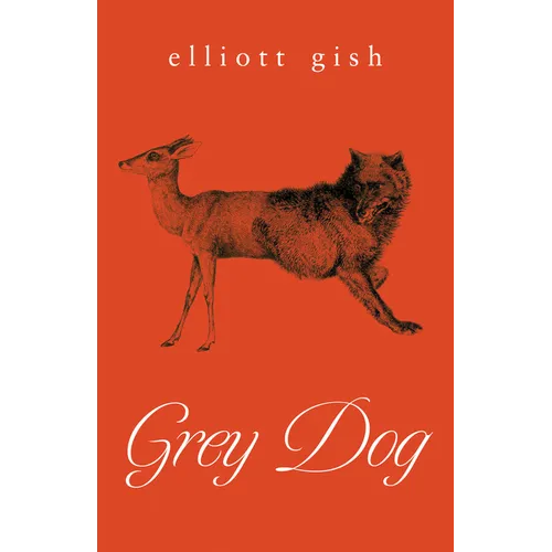 Grey Dog