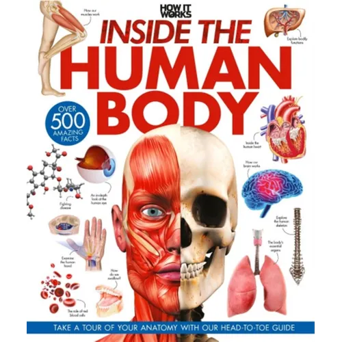 Inside the Human Body: A Complete Guide to How We Work