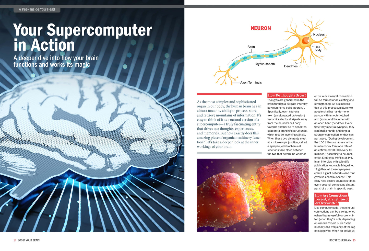 The Future Of Your Brain - Complete Guide: Improve Mental Function, Memory, Recall, Be More Creative & Productive, Reverse Cognitive Decline, Live Longer, Food, Supplements & Artificial Intelligence!