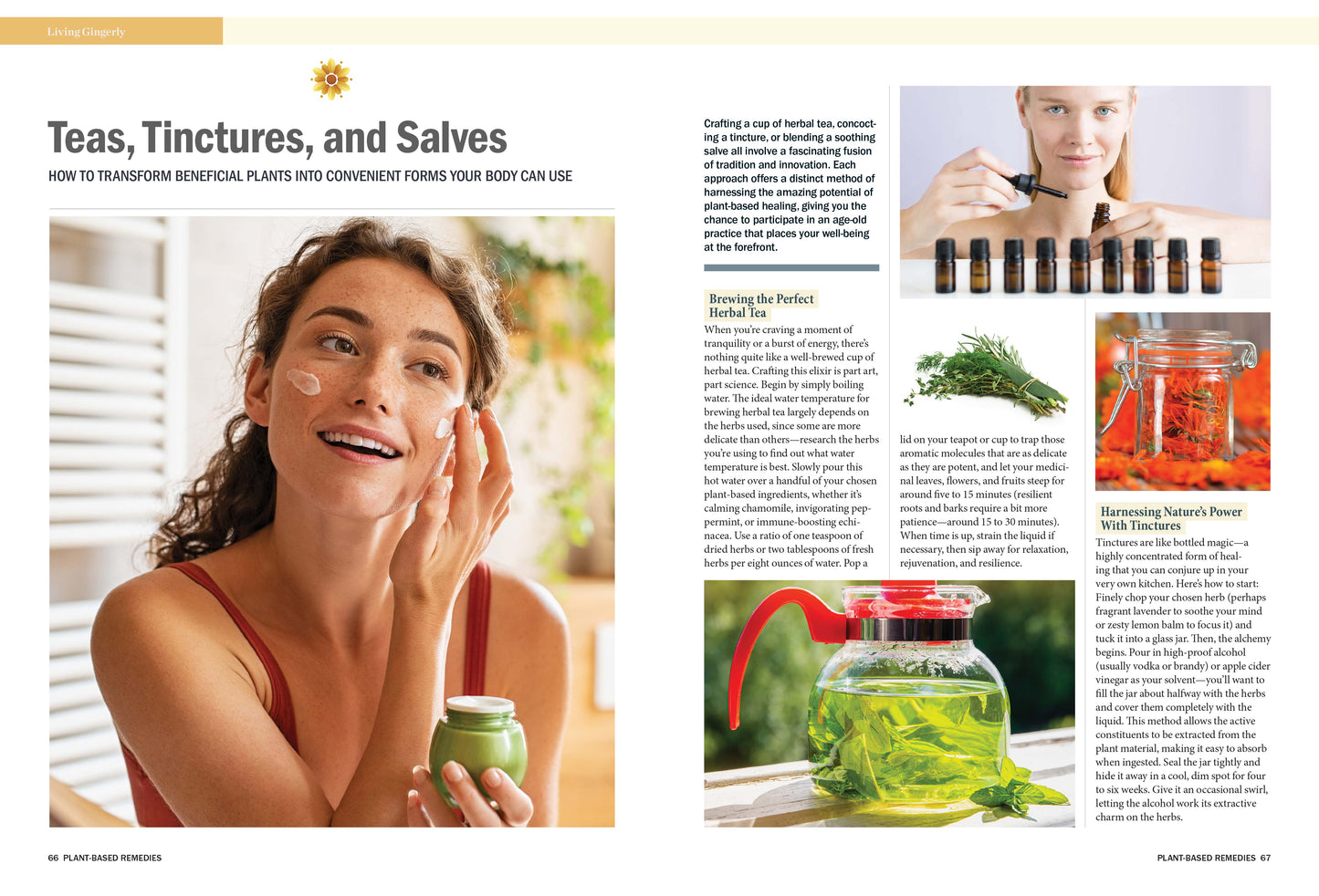 Plants That Heal - Guide To All-Natural, Plant-Based Medicine: Homeopathy, Herbal Remedies For Pain, Weight Loss, Anxiety, Cramps, Nausea, Ginger, Willow Bark, Teas, Tinctures, Salves, Recipes & CBD!
