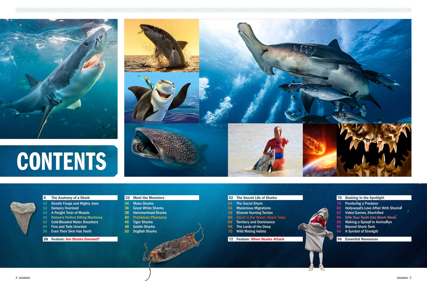 Shark Week - Deadly Behemoths Of The Deep, Terrifying Tales Of Brutal Attacks, How To Survive, Anatomy, Blood In The Water, Secrets, Tiger Sharks, Hammerheads, Goblin Sharks, Great Whites & More!