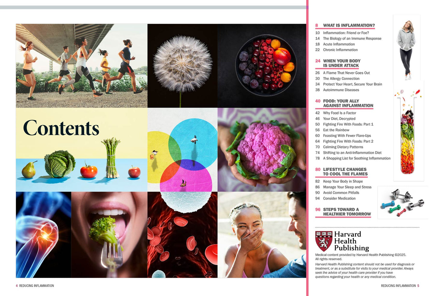 Harvard Health - Beating Inflammation: Top Diet Tips, Root Causes, Natural Ways To Heal Your Body, Energize & Protect Your Body From Chronic Illness, Eat Smarter, Reclaim Your Health & More!