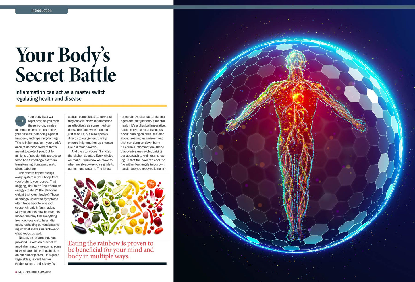 Harvard Health - Beating Inflammation: Top Diet Tips, Root Causes, Natural Ways To Heal Your Body, Energize & Protect Your Body From Chronic Illness, Eat Smarter, Reclaim Your Health & More!