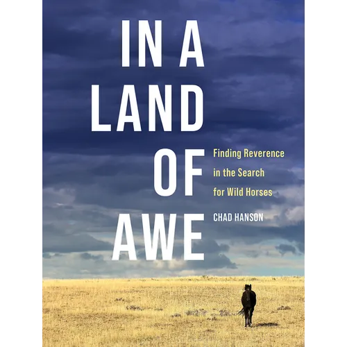 In a Land of Awe: Finding Reverence in the Search for Wild Horses