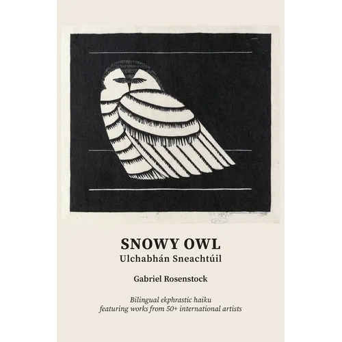 Snowy Owl: Ulchabhán Sneachtúil