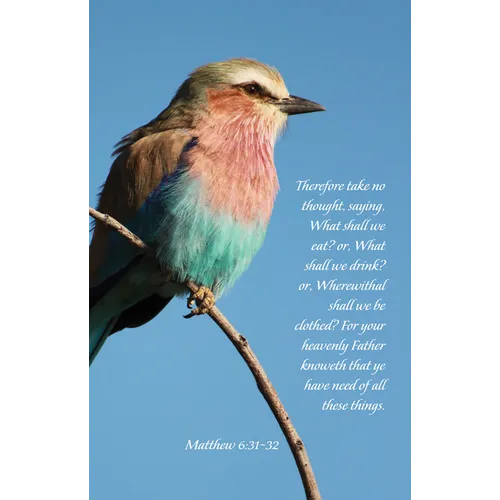 General Worship Bulletin: Your Heavenly Father Knoweth (Package of 100): Matthew 6:31-32 (Kjv)