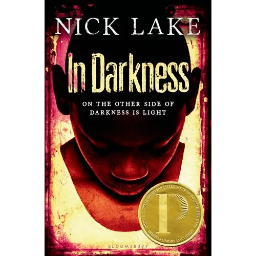 In Darkness