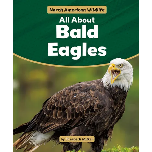 All about Bald Eagles