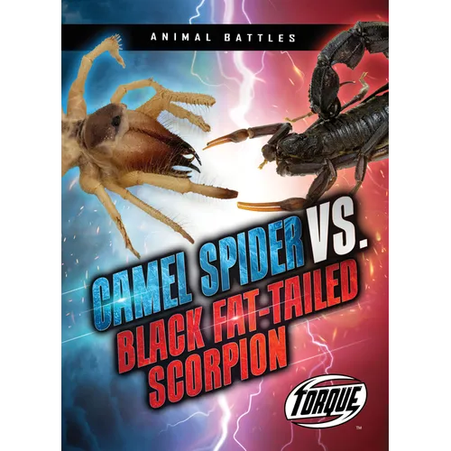 Camel Spider vs. Black Fat-Tailed Scorpion