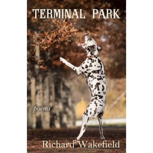 Terminal Park: Poems