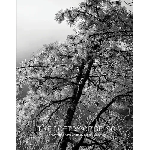 The Poetry of Being: Photographs and Haikus
