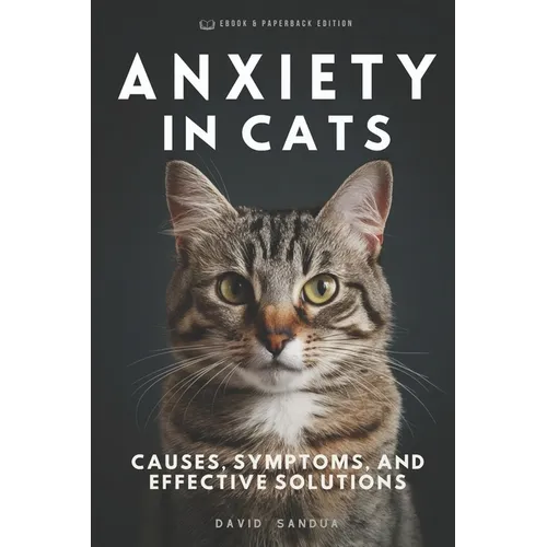 Anxiety in Cats: Causes, Symptoms, and Effective Solutions