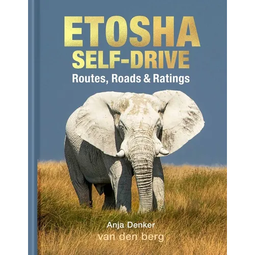 Etosha Self-Drive: Routes, Roads & Ratings