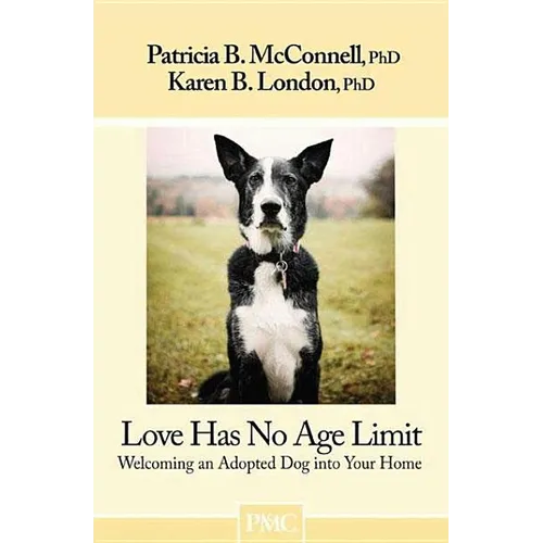 Love Has No Age Limit: Welcoming an Adopted Dog Into Your Home