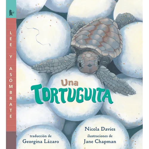 Una Tortuguita: Read and Wonder