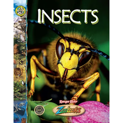 Insects