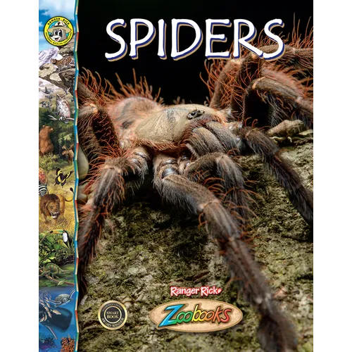 Spiders