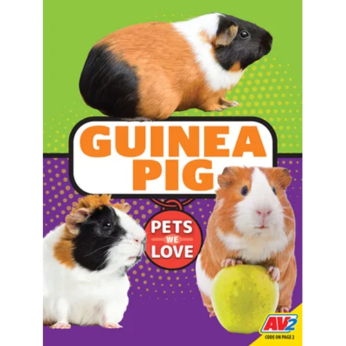 Guinea Pig
